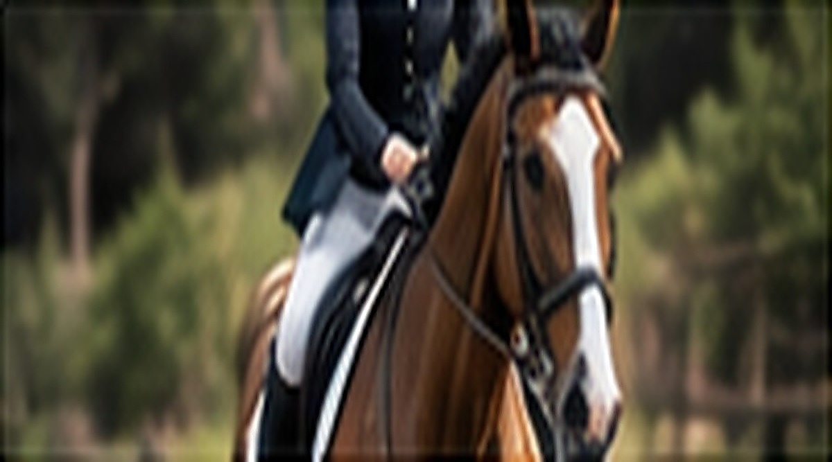 Reitsport